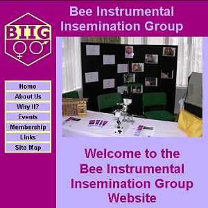 BIIG website front page